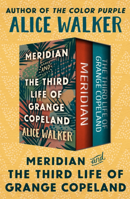 Meridian and The Third Life of Grange Copeland, EPUB eBook