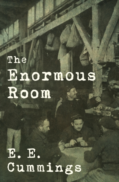 The Enormous Room, EPUB eBook