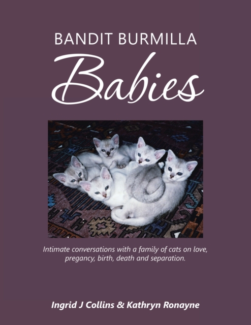 Bandit Burmilla Babies : Intimate Conversations with a Family of Cats on Love, Pregancy, Birth, Death and Separation., EPUB eBook