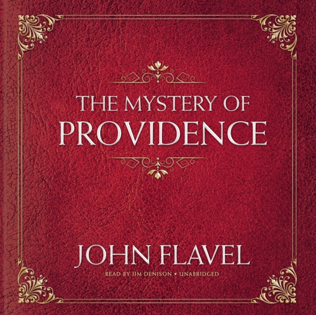 The Mystery of Providence, eAudiobook MP3 eaudioBook