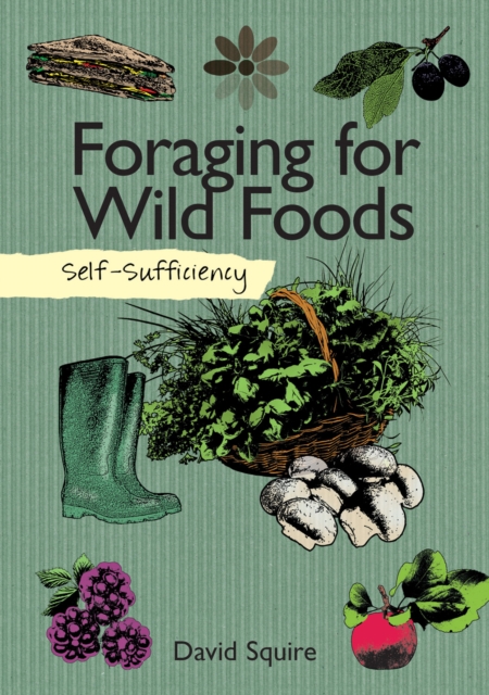 Self-Sufficiency: Foraging for Wild Foods, Paperback / softback Book