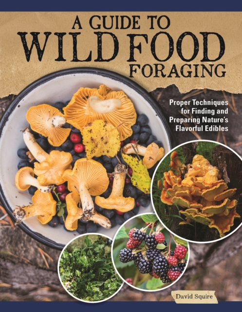 A Guide to Wild Food Foraging : Proper Techniques for Finding and Preparing Nature's Flavorful Edibles, Paperback / softback Book
