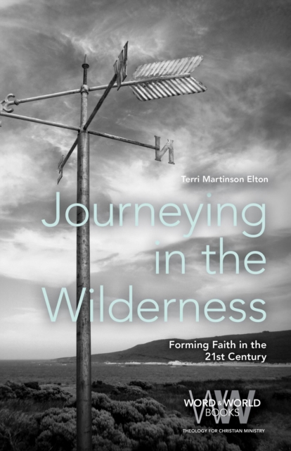 Journeying in the Wilderness : Forming Faith in the 21st Century, EPUB eBook