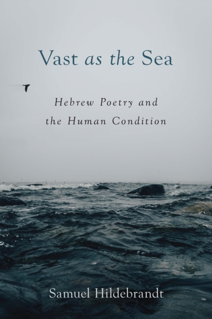 Vast as the Sea: Hebrew Poetry and the Human Condition, EPUB eBook