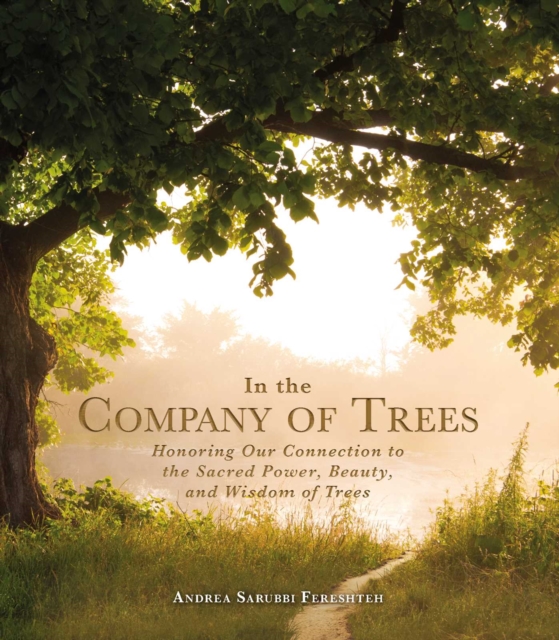 In the Company of Trees : Honoring Our Connection to the Sacred Power, Beauty, and Wisdom of Trees, EPUB eBook