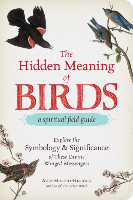 The Hidden Meaning of Birds--A Spiritual Field Guide : Explore the Symbology and Significance of These Divine Winged Messengers, Paperback / softback Book