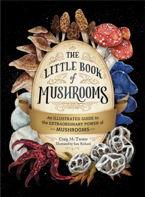 The Little Book of Mushrooms : An Illustrated Guide to the Extraordinary Power of Mushrooms, Hardback Book