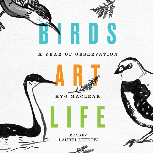 Birds Art Life : A Year of Observation, eAudiobook MP3 eaudioBook