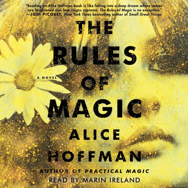 The Rules of Magic : A Novel, eAudiobook MP3 eaudioBook