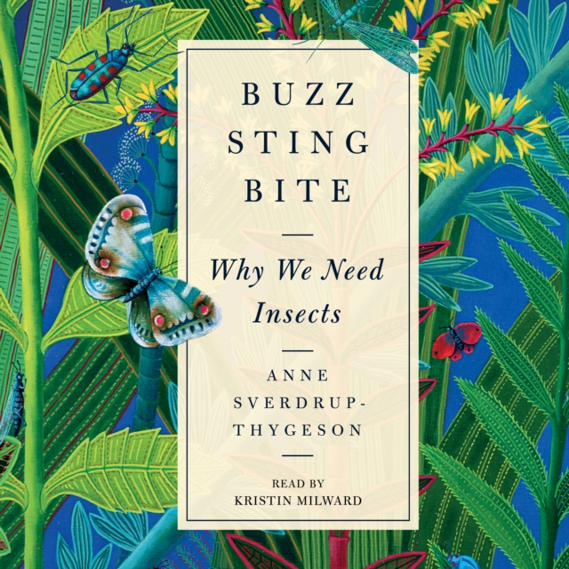 Buzz, Sting, Bite : Why We Need Insects, eAudiobook MP3 eaudioBook