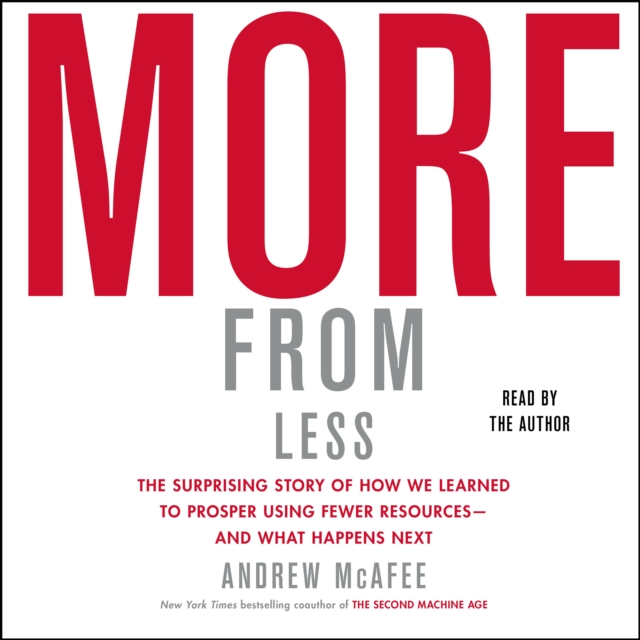 More From Less : How We Learned to Create More Without Using More, eAudiobook MP3 eaudioBook