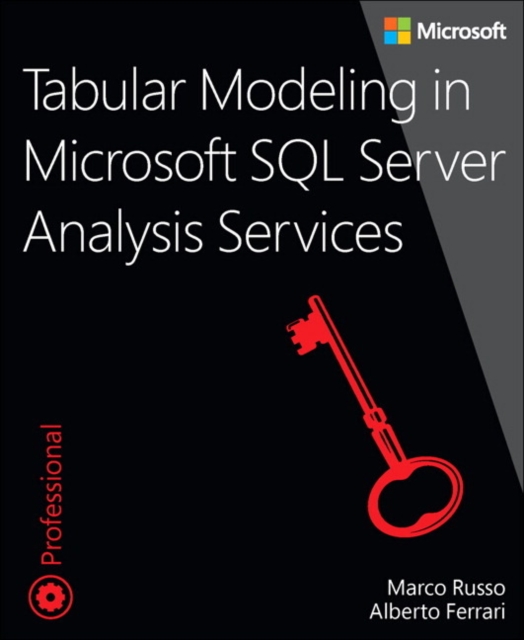 Tabular Modeling in Microsoft SQL Server Analysis Services, Paperback / softback Book