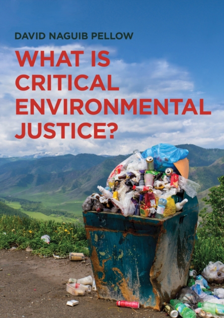 What is Critical Environmental Justice?, EPUB eBook