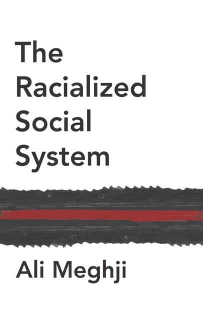 The Racialized Social System : Critical Race Theory as Social Theory, Paperback / softback Book