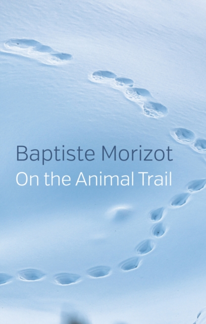 On the Animal Trail, Paperback / softback Book