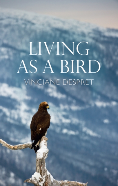 Living as a Bird, Paperback / softback Book