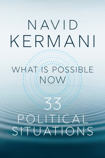 What is Possible Now : 33 Political Situations, Paperback / softback Book
