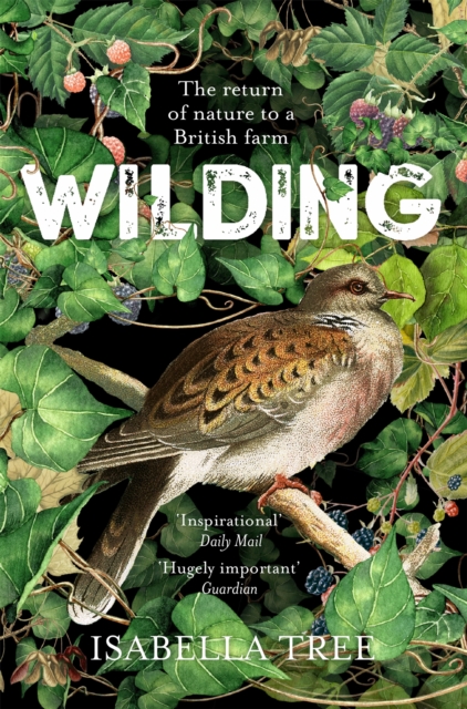 Wilding : The Return of Nature to a British Farm, Paperback / softback Book