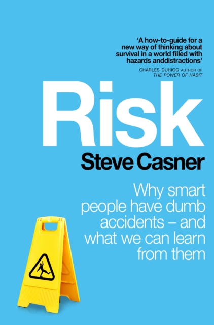 Risk : Why Smart People Have Dumb Accidents - And What We Can Learn From Them, Paperback / softback Book