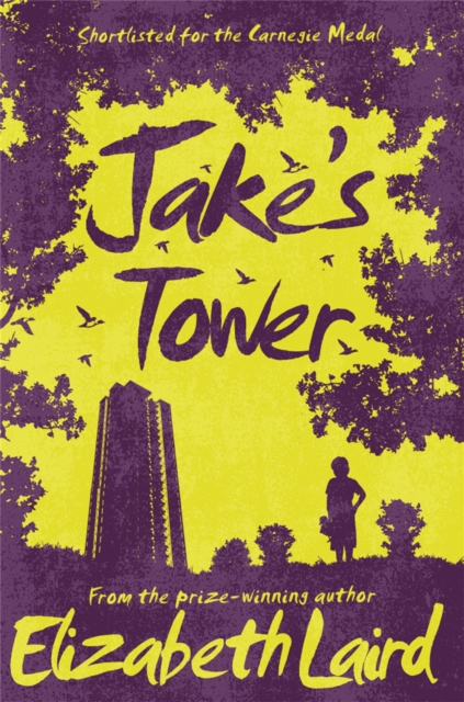 Jake's Tower, Paperback / softback Book