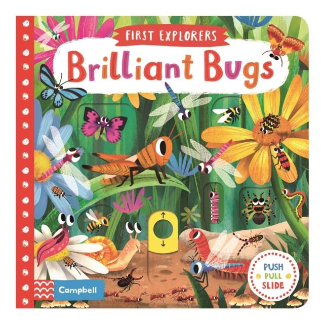Brilliant Bugs, Board book Book