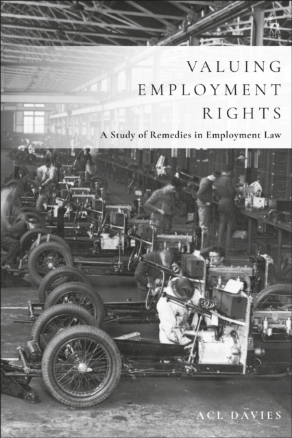 Valuing Employment Rights : A Study of Remedies in Employment Law, PDF eBook