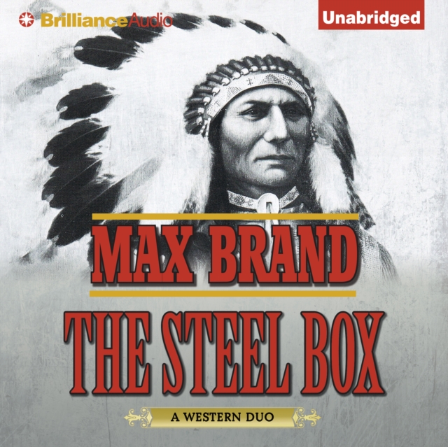 The Steel Box, eAudiobook MP3 eaudioBook