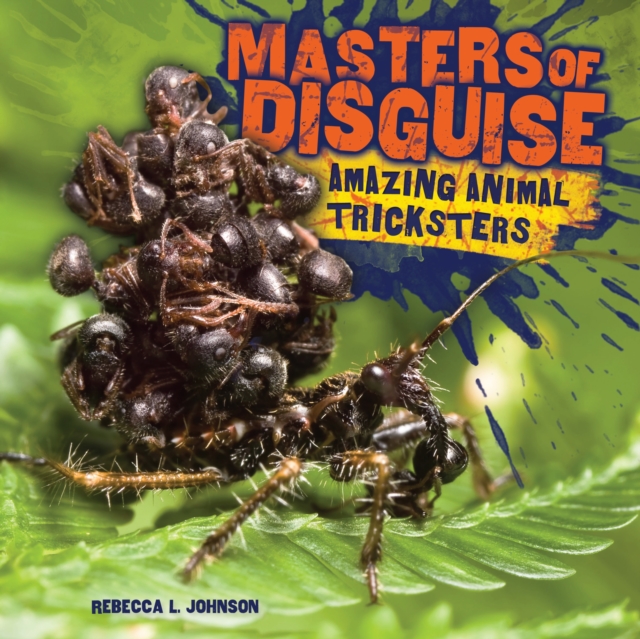 Masters of Disguise : Amazing Animal Tricksters, PDF eBook