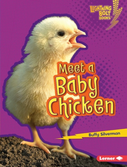 Meet a Baby Chicken, PDF eBook