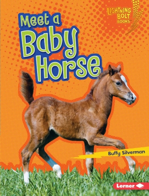 Meet a Baby Horse, PDF eBook