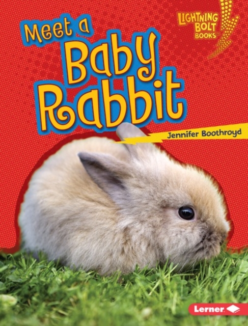 Meet a Baby Rabbit, PDF eBook