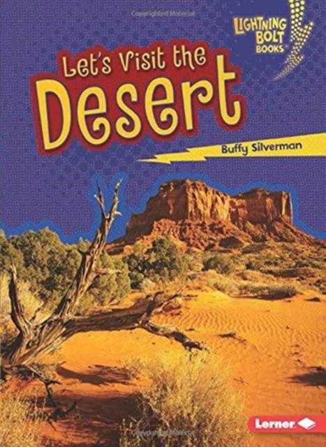Lets Visit the Desert, Paperback / softback Book