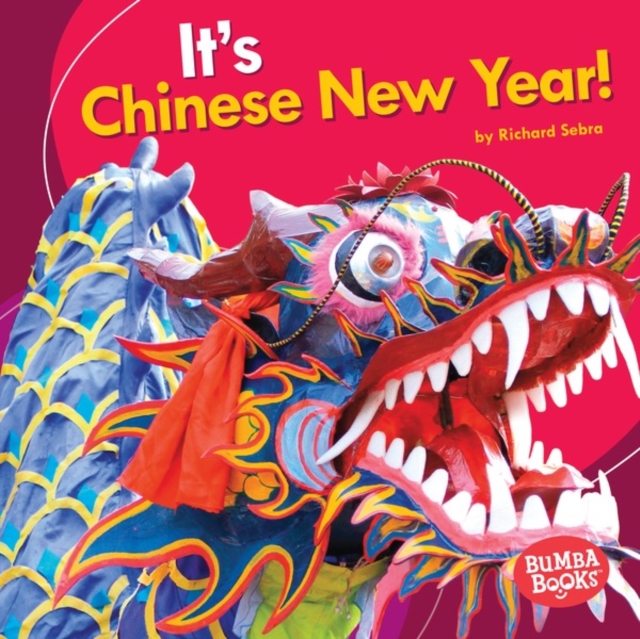 It's Chinese New Year!, PDF eBook