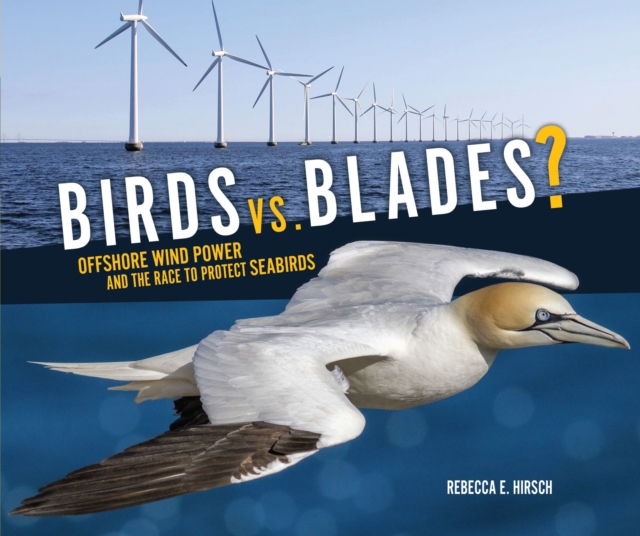Birds vs. Blades? : Offshore Wind Power and the Race to Protect Seabirds, EPUB eBook