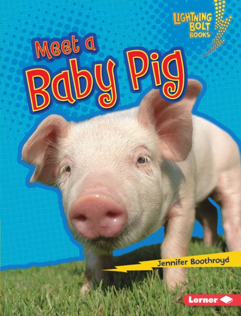 Meet a Baby Pig, EPUB eBook