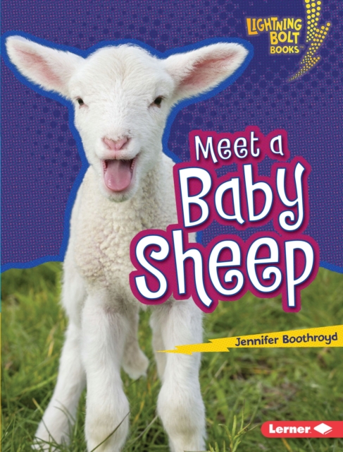 Meet a Baby Sheep, EPUB eBook