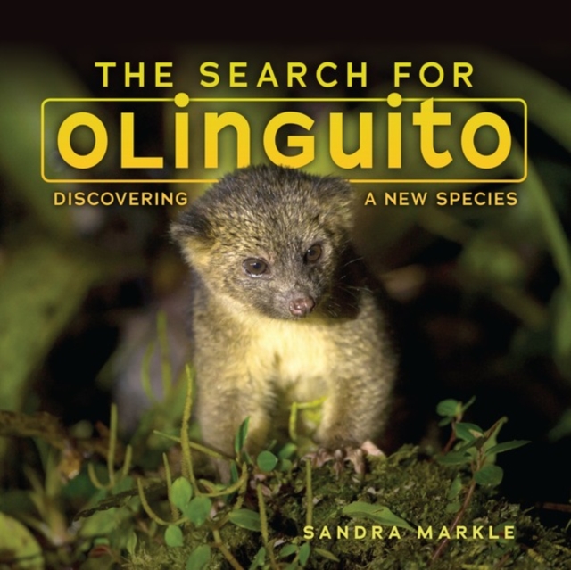 The Search for Olinguito : Discovering a New Species, PDF eBook