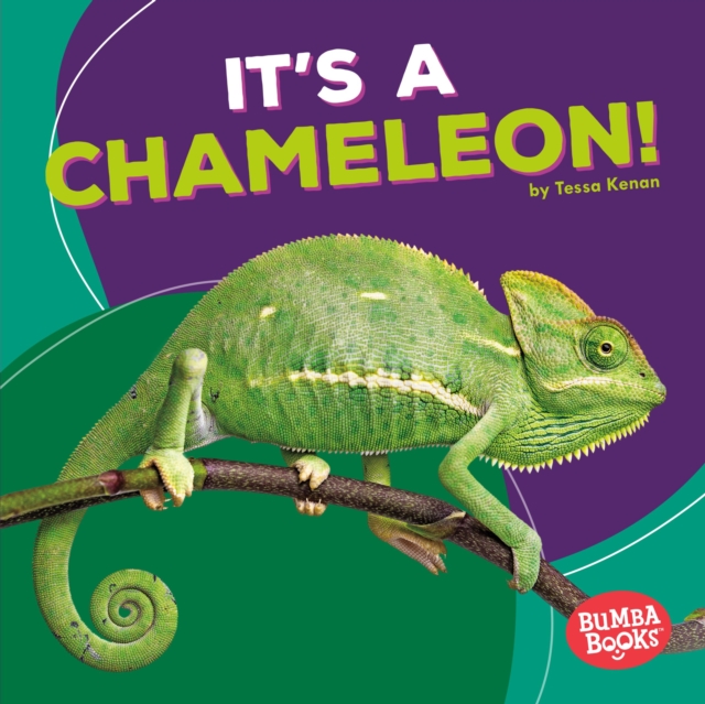 It's a Chameleon!, EPUB eBook