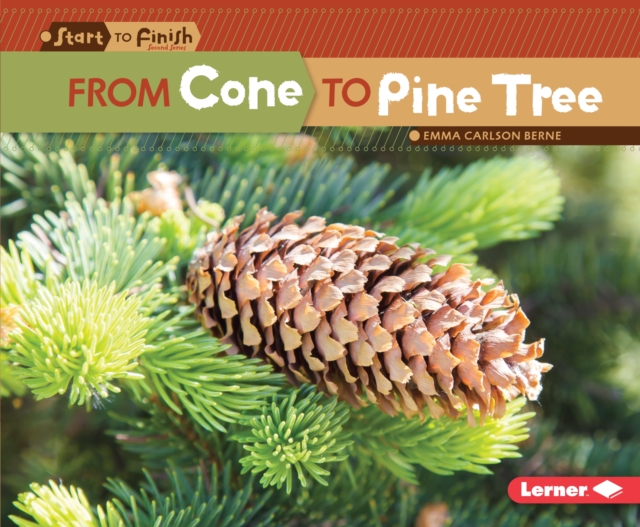 From Cone to Pine Tree, PDF eBook