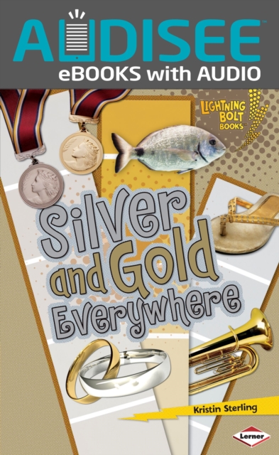 Silver and Gold Everywhere, EPUB eBook