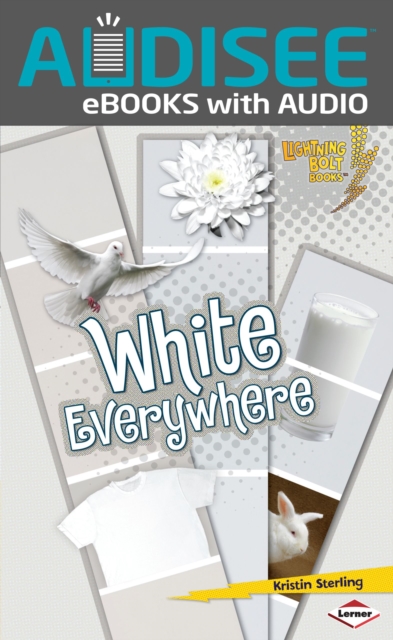 White Everywhere, EPUB eBook