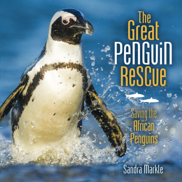 The Great Penguin Rescue : Saving the African Penguins, EPUB eBook