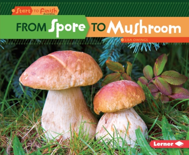 From Spore to Mushroom, EPUB eBook