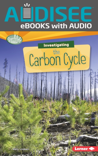 Investigating the Carbon Cycle, EPUB eBook