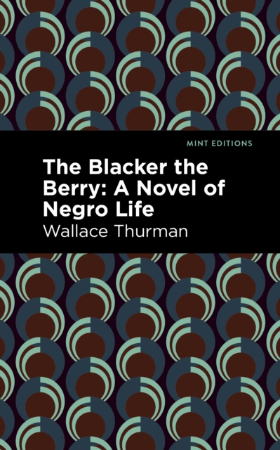 The Blacker the Berry : A Novel of Negro Life, Paperback / softback Book
