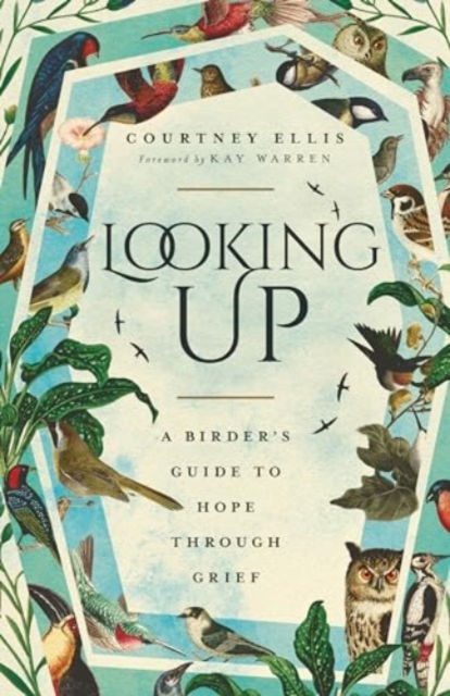 Looking Up : A Birder's Guide to Hope Through Grief, Paperback / softback Book