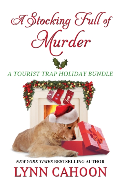 A Stocking Full of Murder, EPUB eBook