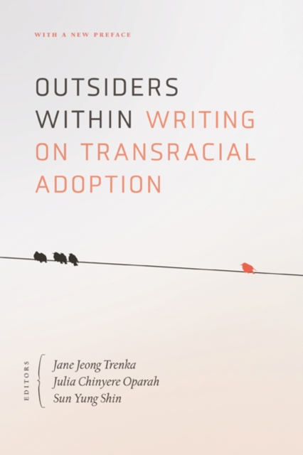 Outsiders Within : Writing on Transracial Adoption, Paperback / softback Book