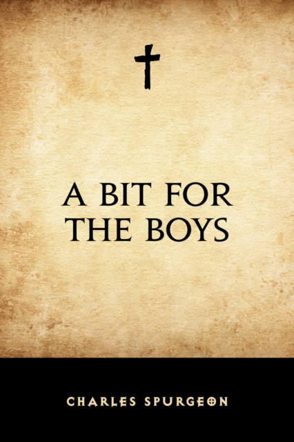 A Bit for the Boys, EPUB eBook
