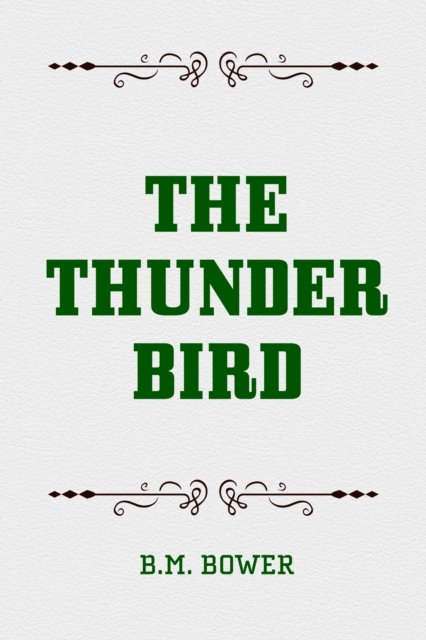 The Thunder Bird, EPUB eBook